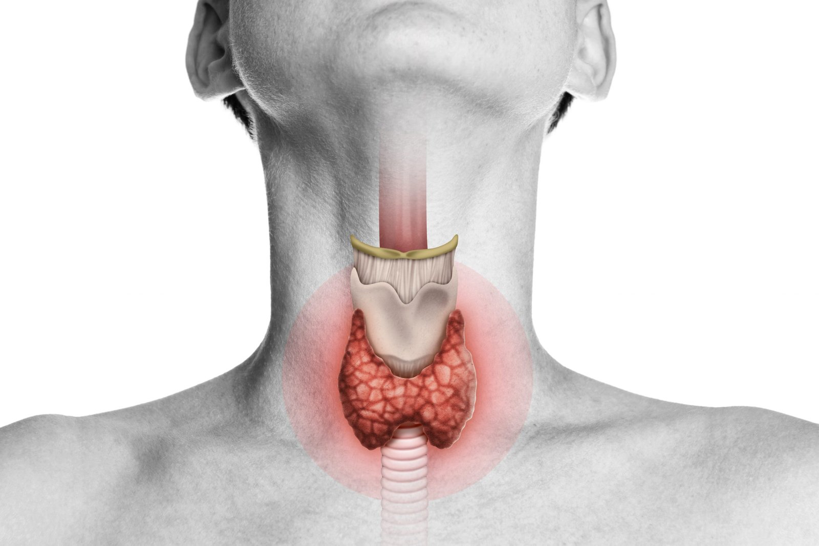 Best Thyroid Care in Firozabad